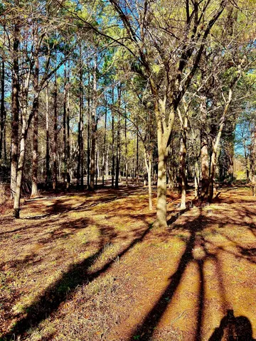 $49,500 | 5395 Grand View Drive, Athens, TX 75752