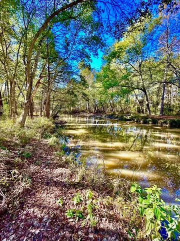 a view of a lake with a big yard