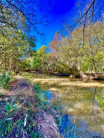a view of swimming pool with a yard