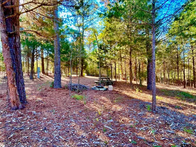 a view of road with trees