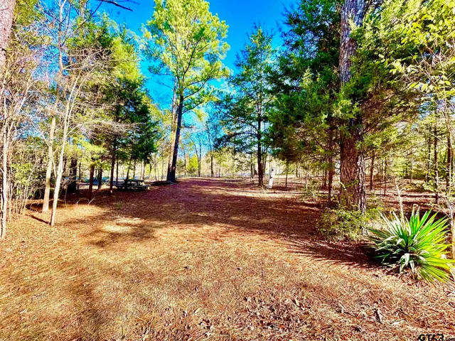 a view of a backyard with trees