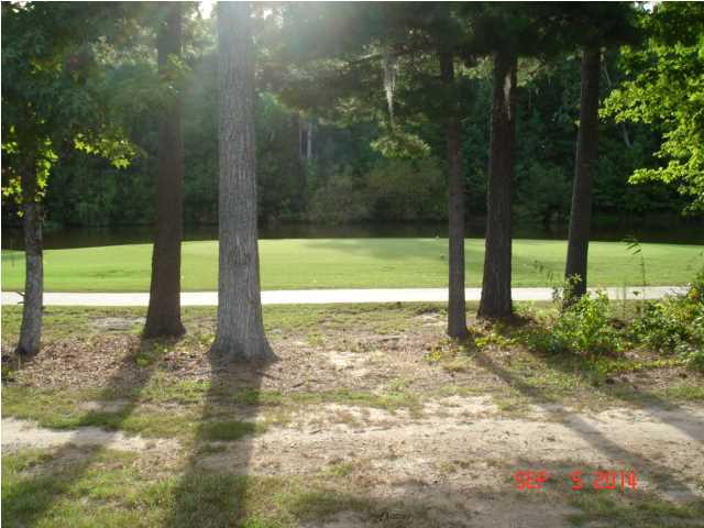 9310 Ayscough Road Summerville, SC 29485 - Photo 18 of 18 Additional Photo
