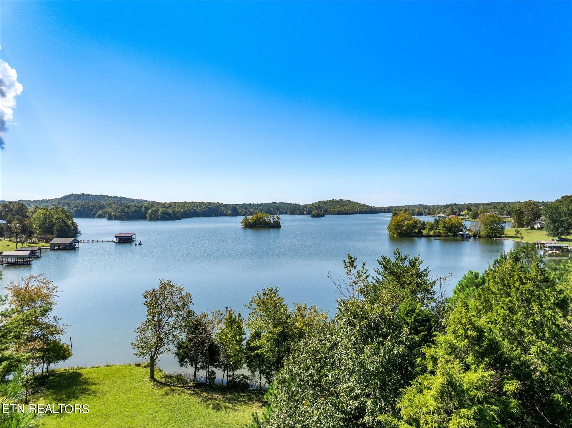 0 Pin Hook (lot 1) Rd Spring Spring City, TN 37381 - Photo 13 of 14 a view of lake with trees