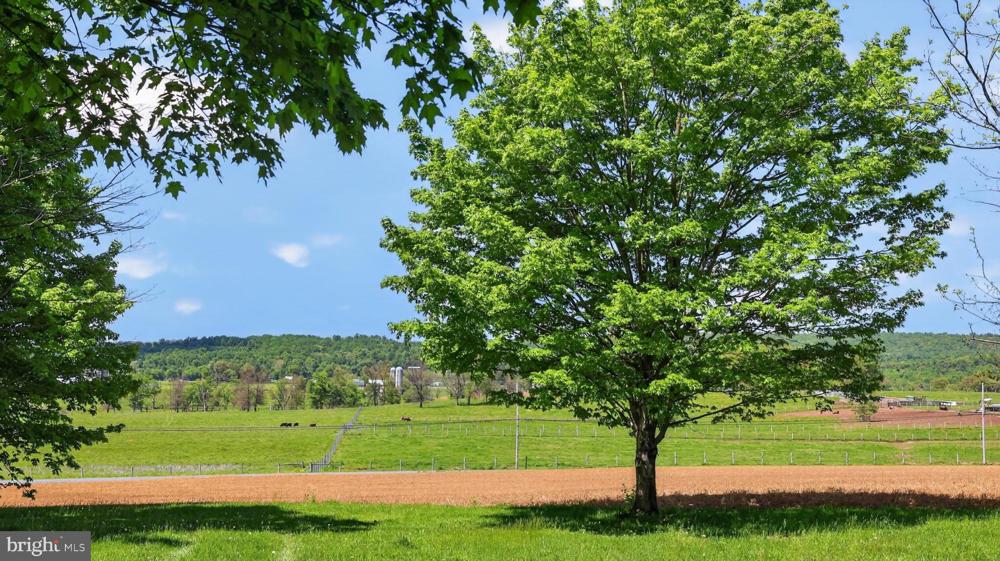 1599 Sanctuary Road Manheim, PA 17545 - Photo 43 of 66 Serene countryside under blue skies.
