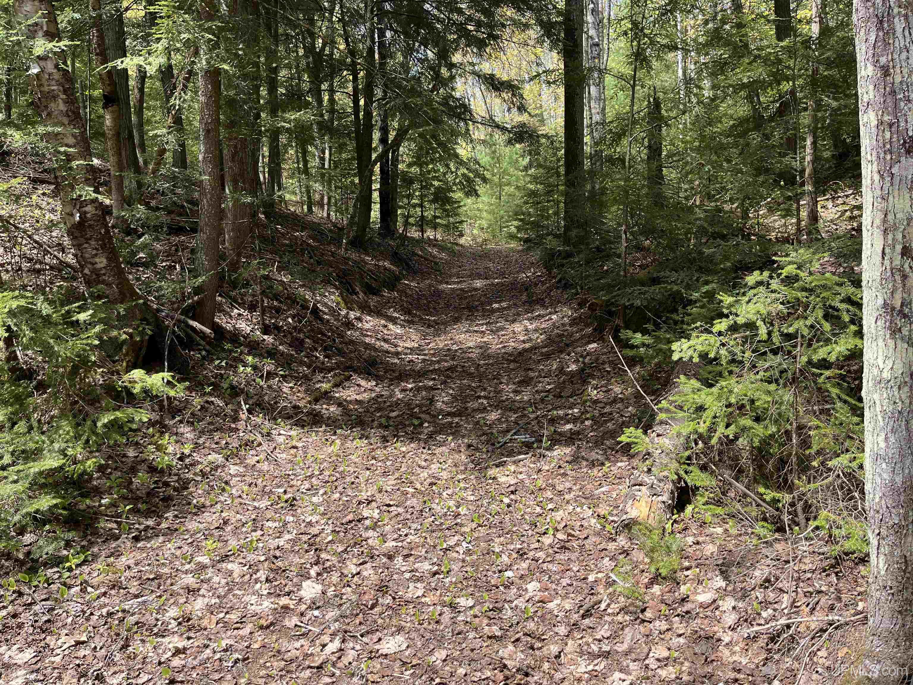 38-acres County Rd NA Road Marquette, MI 49855 - Photo 55 of 70