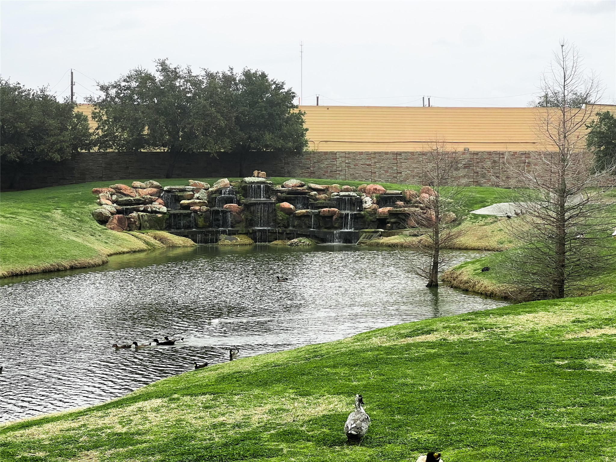 10838 Waterfern Court Houston, TX 77064 - Photo 26 of 28 Enjoy picturesque views of the pond from your backyard, complete with a relaxing water fountain and lush green surroundings.