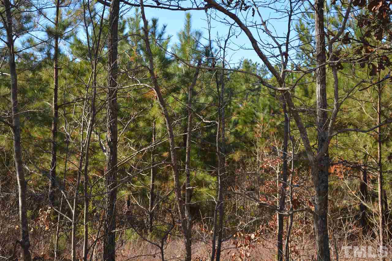 419 John Headen Road Moncure, NC 27559 - Photo 1 of 8 Gallery Image 1