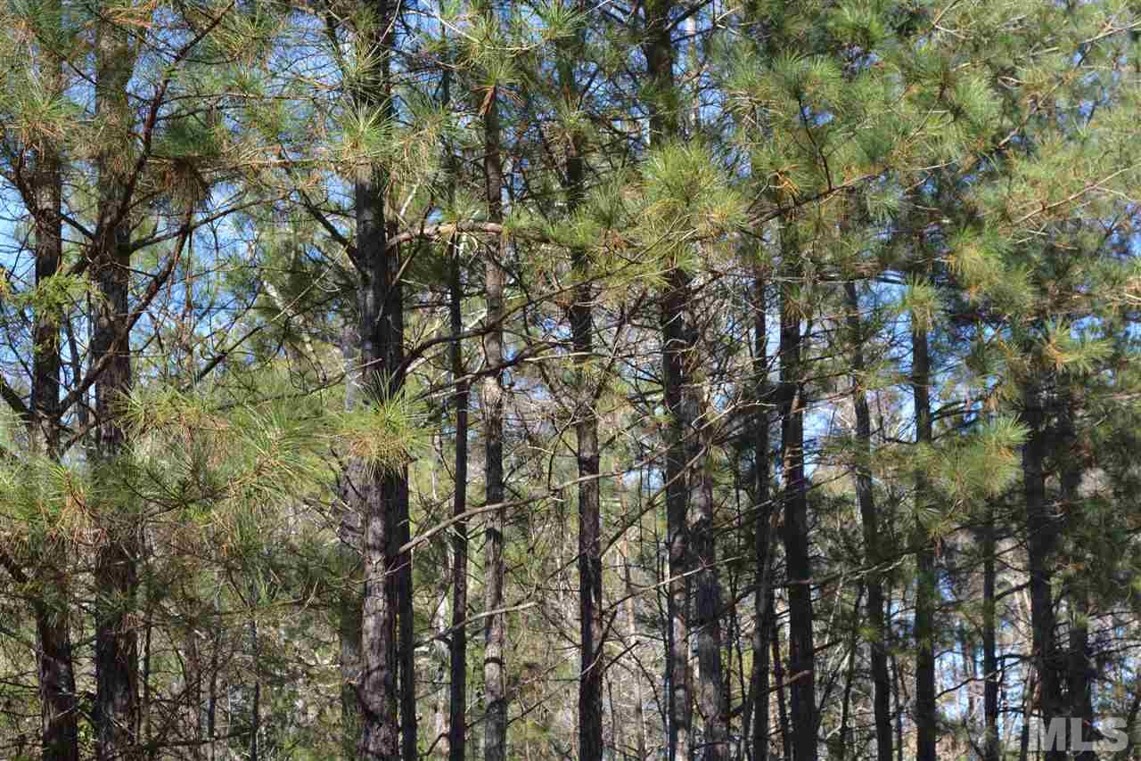 419 John Headen Road Moncure, NC 27559 - Photo 2 of 8 Gallery Image 2