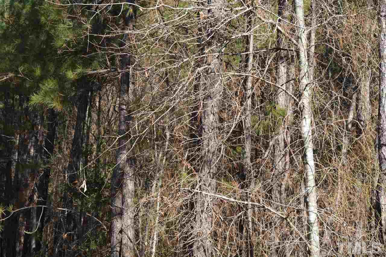 419 John Headen Road Moncure, NC 27559 - Photo 6 of 8 Gallery Image 6
