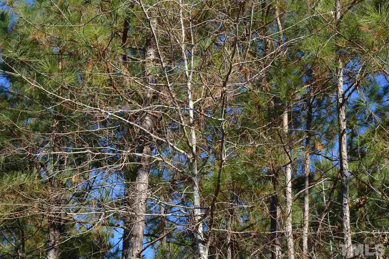 419 John Headen Road Moncure, NC 27559 - Photo 7 of 8 Gallery Image 7