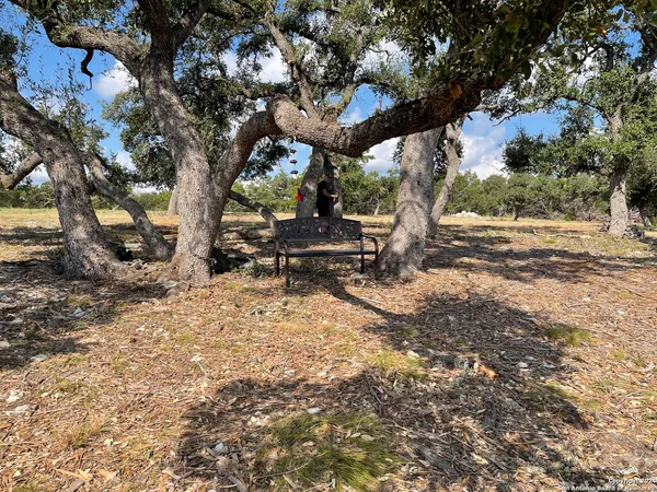 a bench is sitting in the middle of a yard