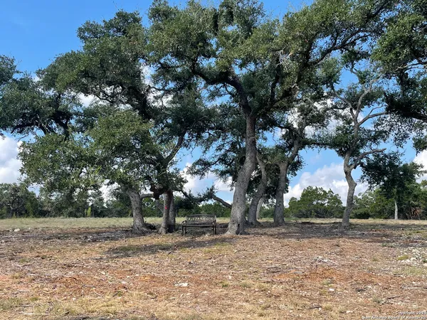 a view of a tree in front of a yard