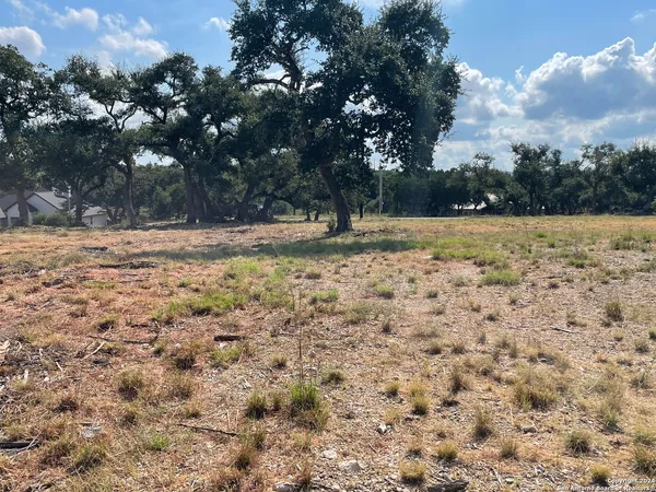 a view of a yard with trees