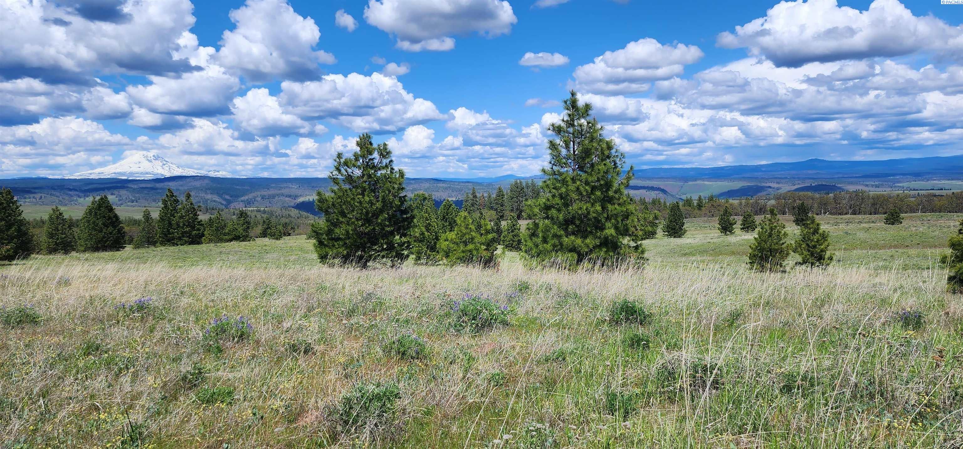 Lot 18 Schilling Road Lyle, WA 98635 - Photo 14 of 39 Gallery Image 14