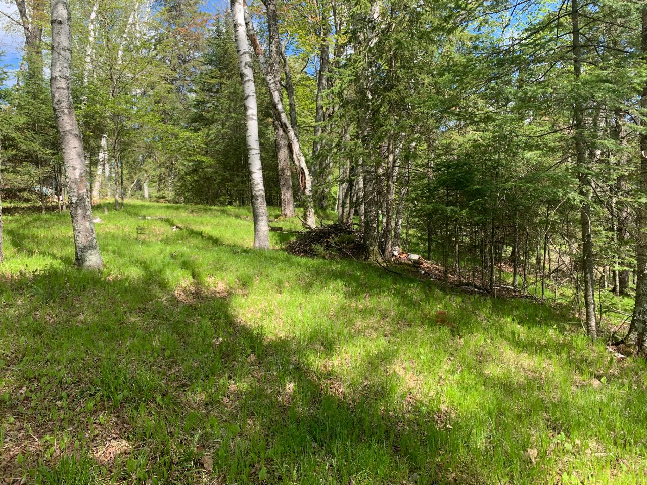 On On Dombrowski Road Harshaw, WI 54529 - Photo 20 of 20 Gallery Image 20