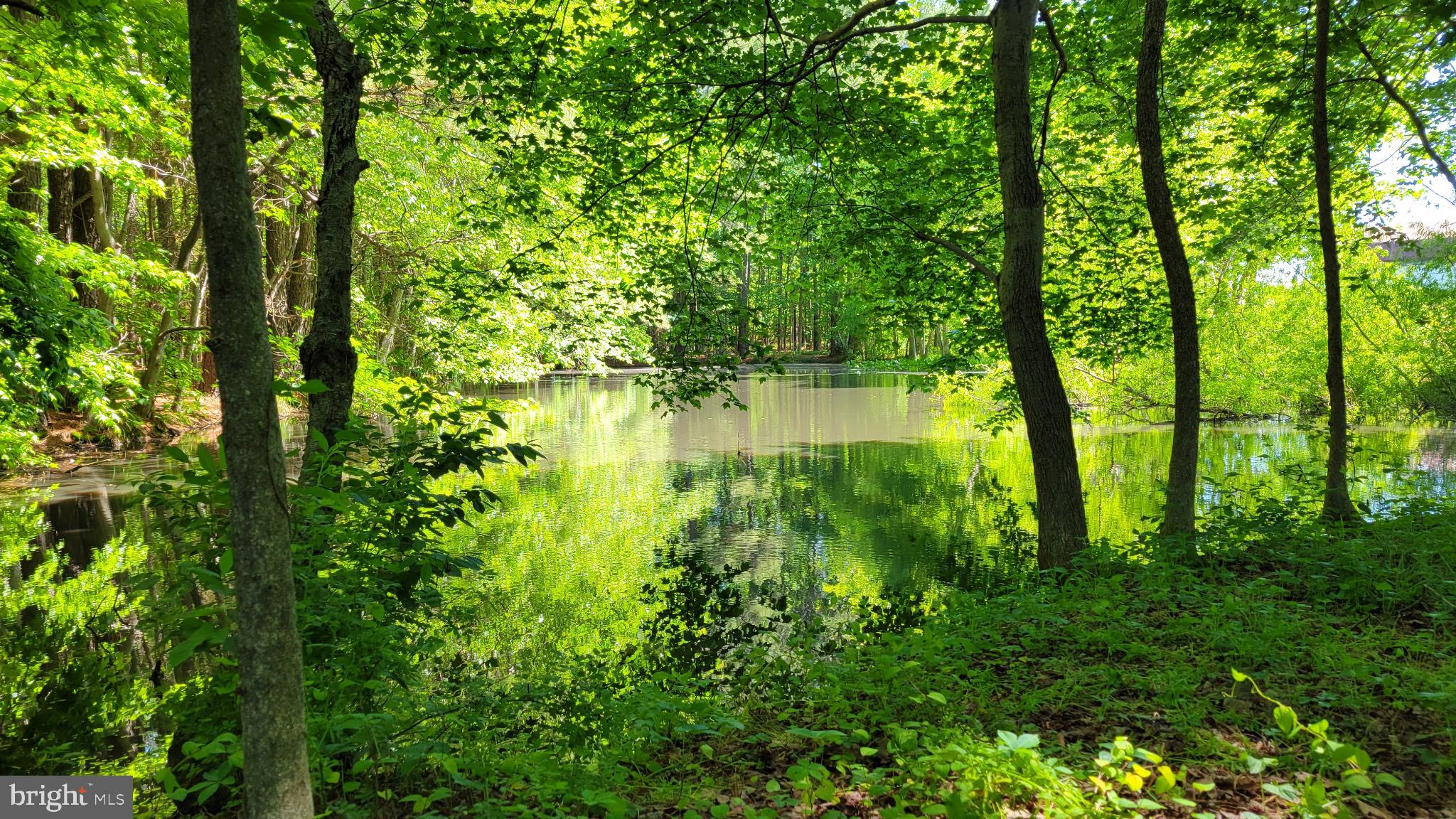 21549 Point Lookout Road Callaway, MD 20620 - Photo 4 of 41 a view of lake with green space