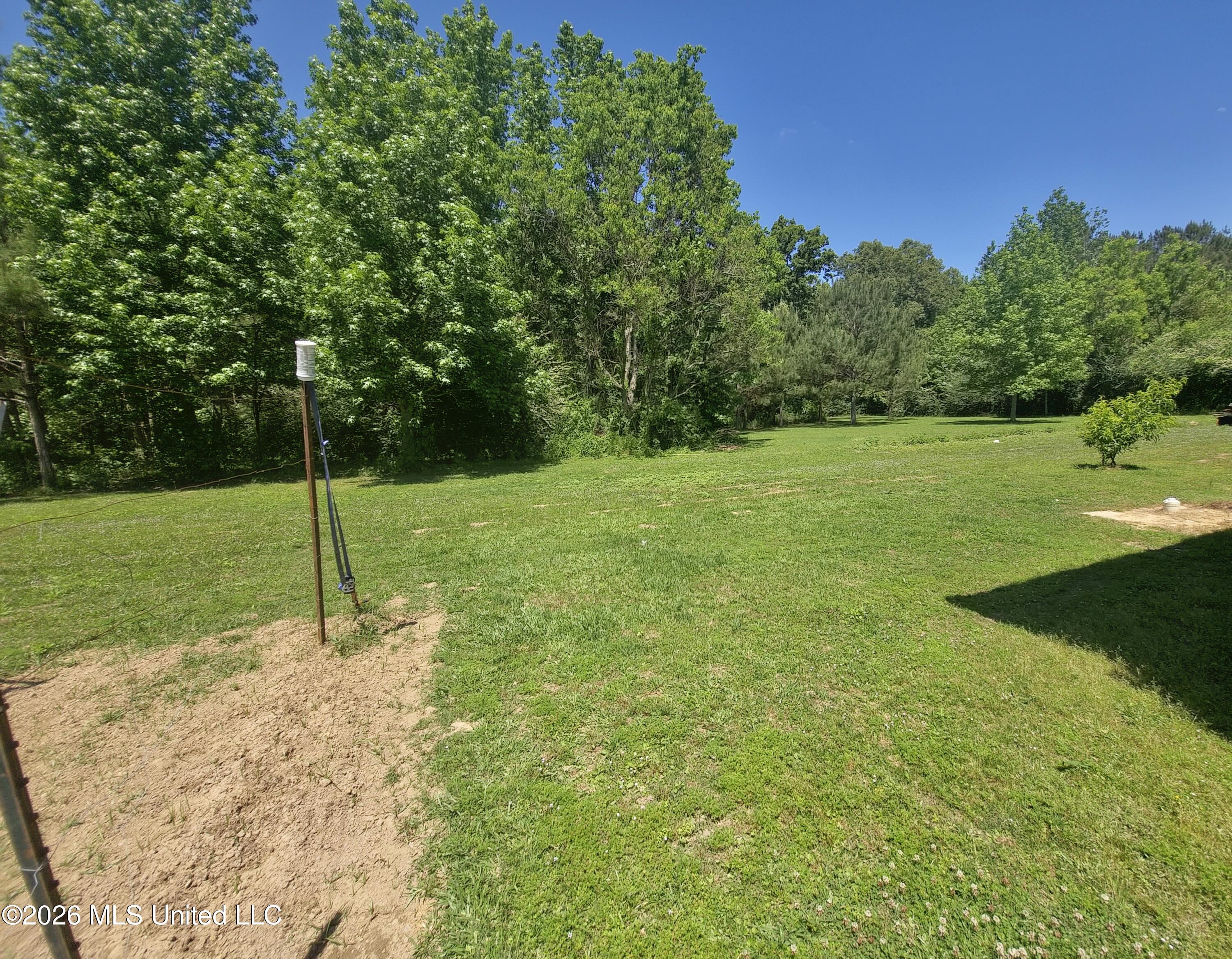 131 Campbell Road Jayess, MS 39641 - Photo 13 of 31 24915