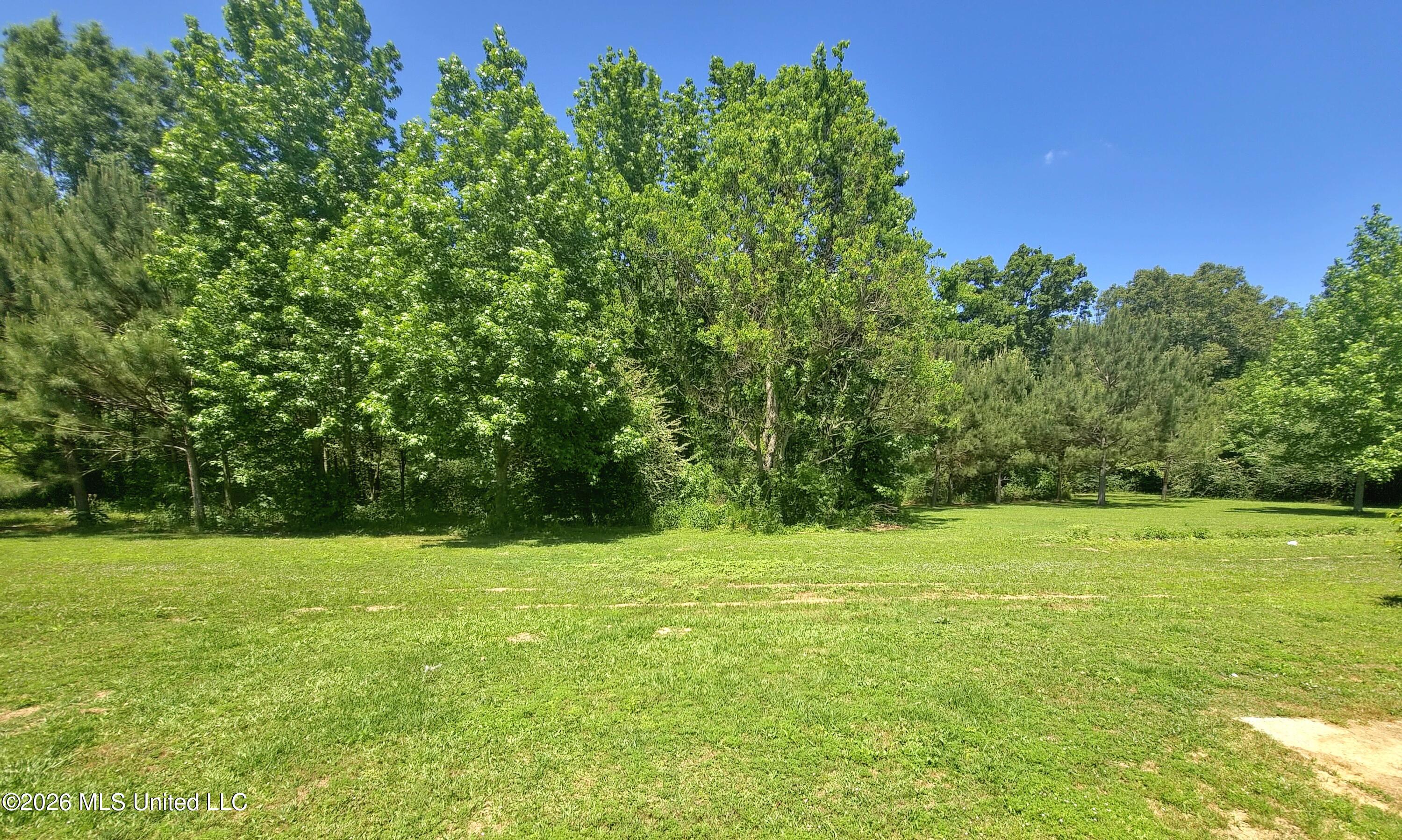 131 Campbell Road Jayess, MS 39641 - Photo 14 of 31 24913