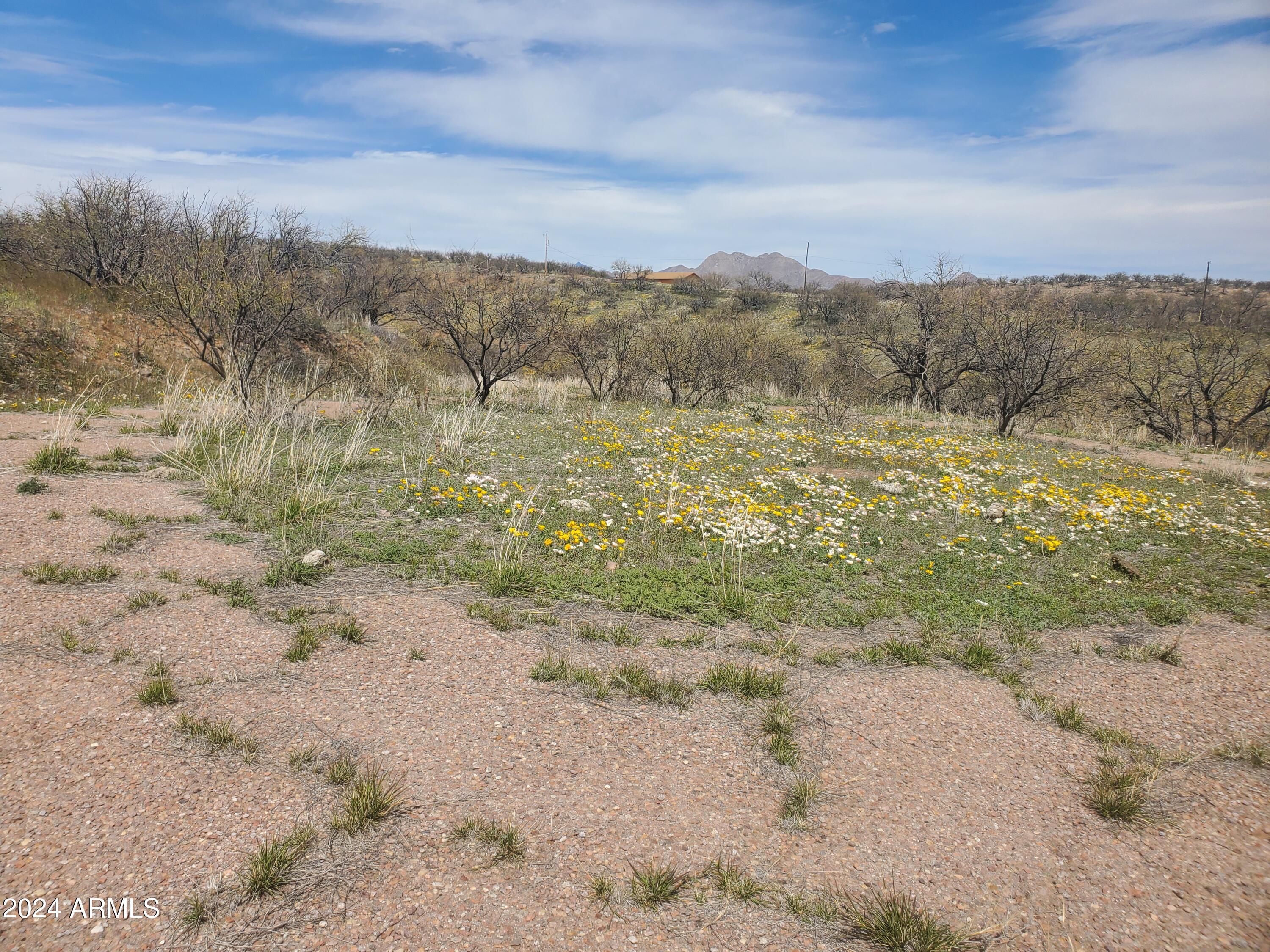 1140 Humberto Court, Unit 23 Rio Rico, AZ 85648 - Photo 5 of 10 a view of lake view and mountain view