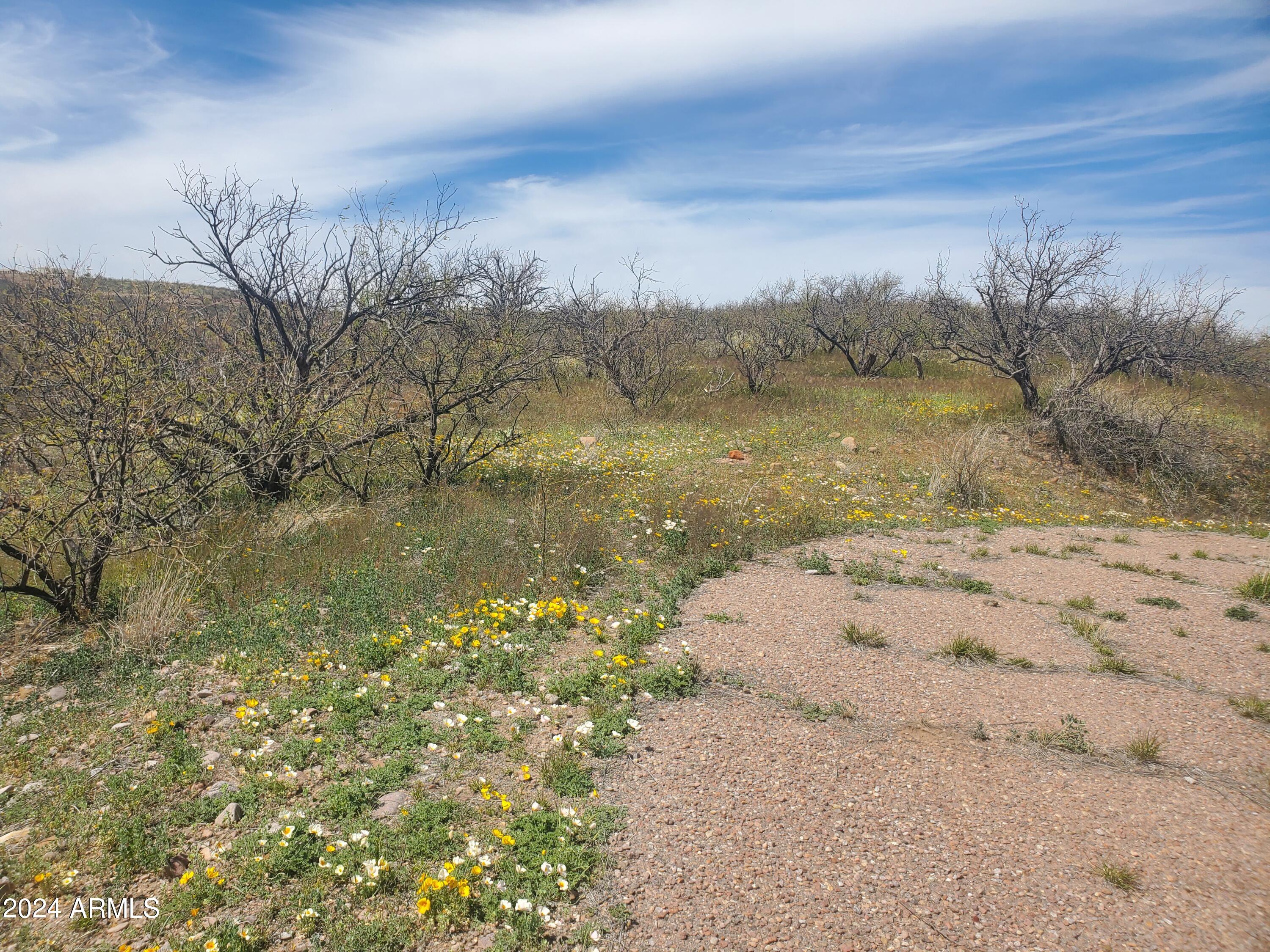 1140 Humberto Court, Unit 23 Rio Rico, AZ 85648 - Photo 6 of 10 a view of beach and lake