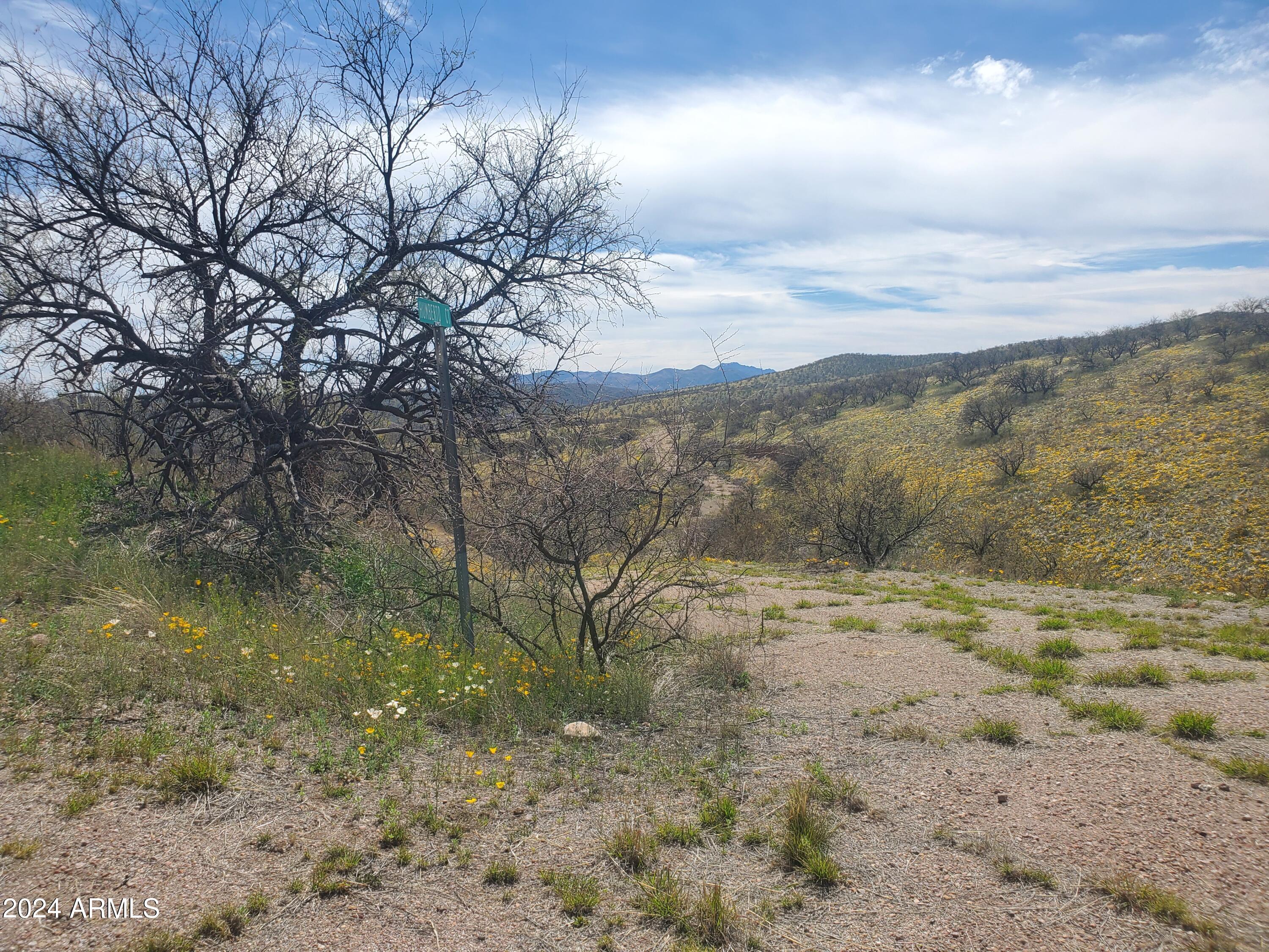 1140 Humberto Court, Unit 23 Rio Rico, AZ 85648 - Photo 9 of 10 a view of a yard of a house with a forest