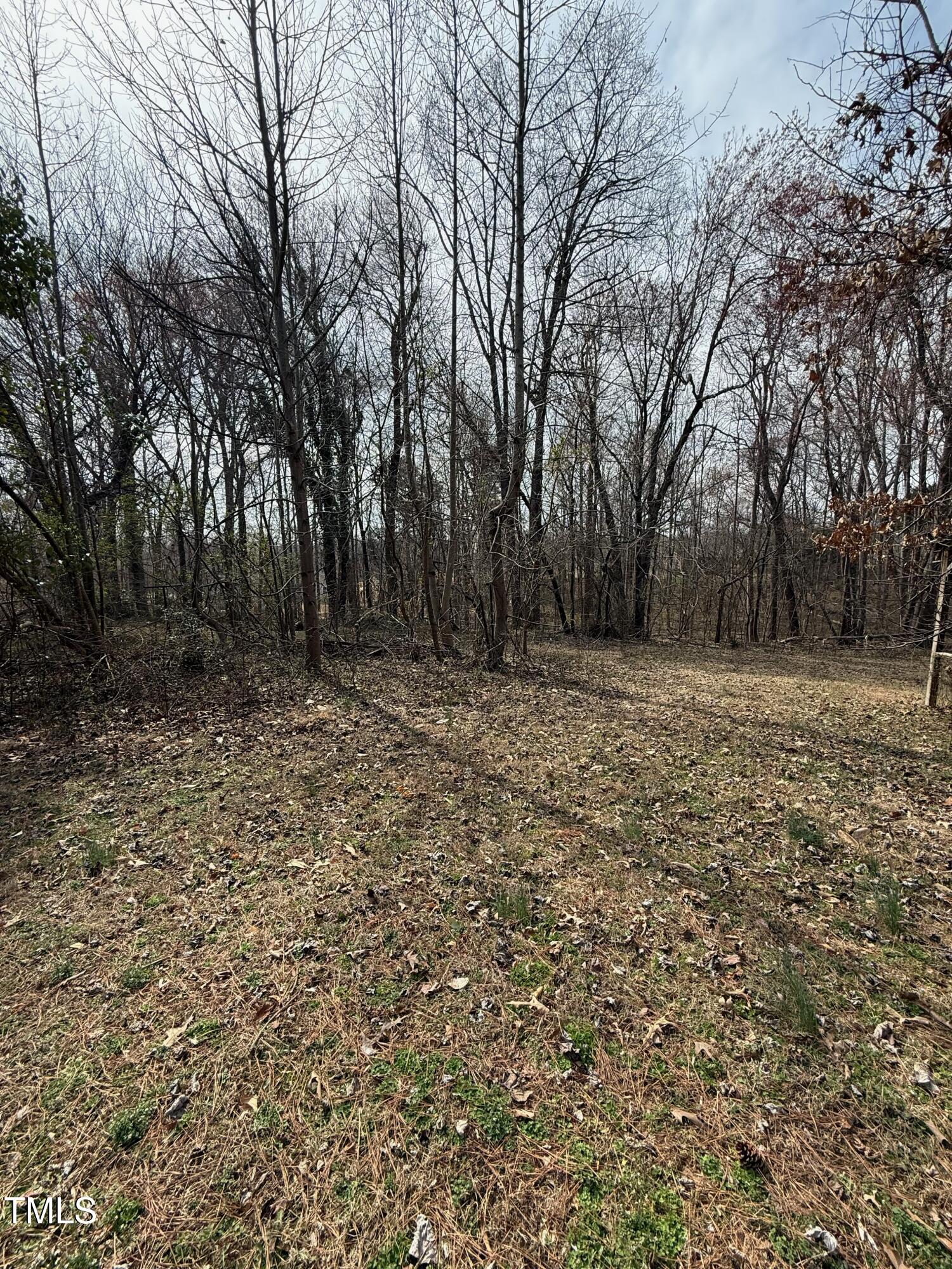 96 Stephens Road Providence, NC 27315 - Photo 5 of 7 a view of outdoor space with trees