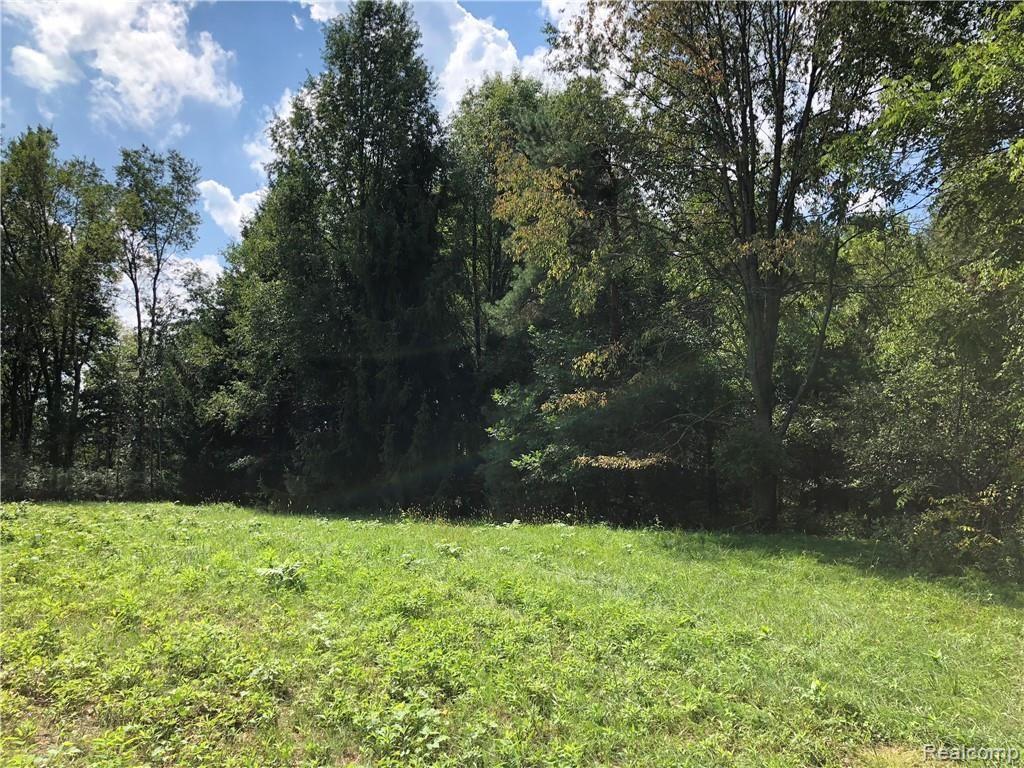 8 Kellogg Road Howell, MI 48843 - Photo 14 of 15