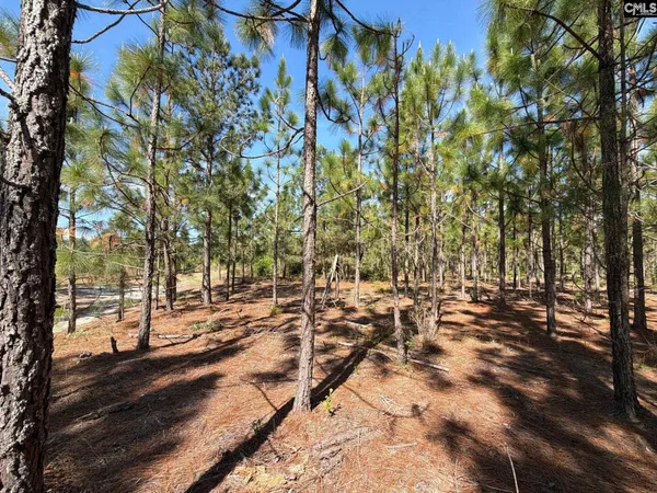 $74,900 | 4 Holstein Road, Monetta, SC 29105