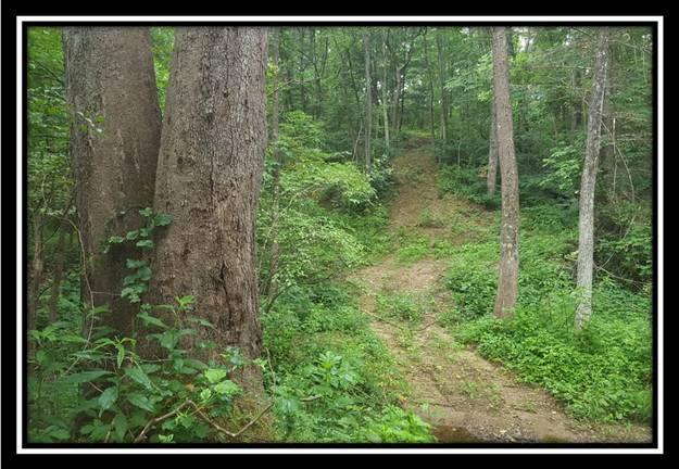 0 Poston-Salem Road Athens, OH 45701 - Photo 3 of 8