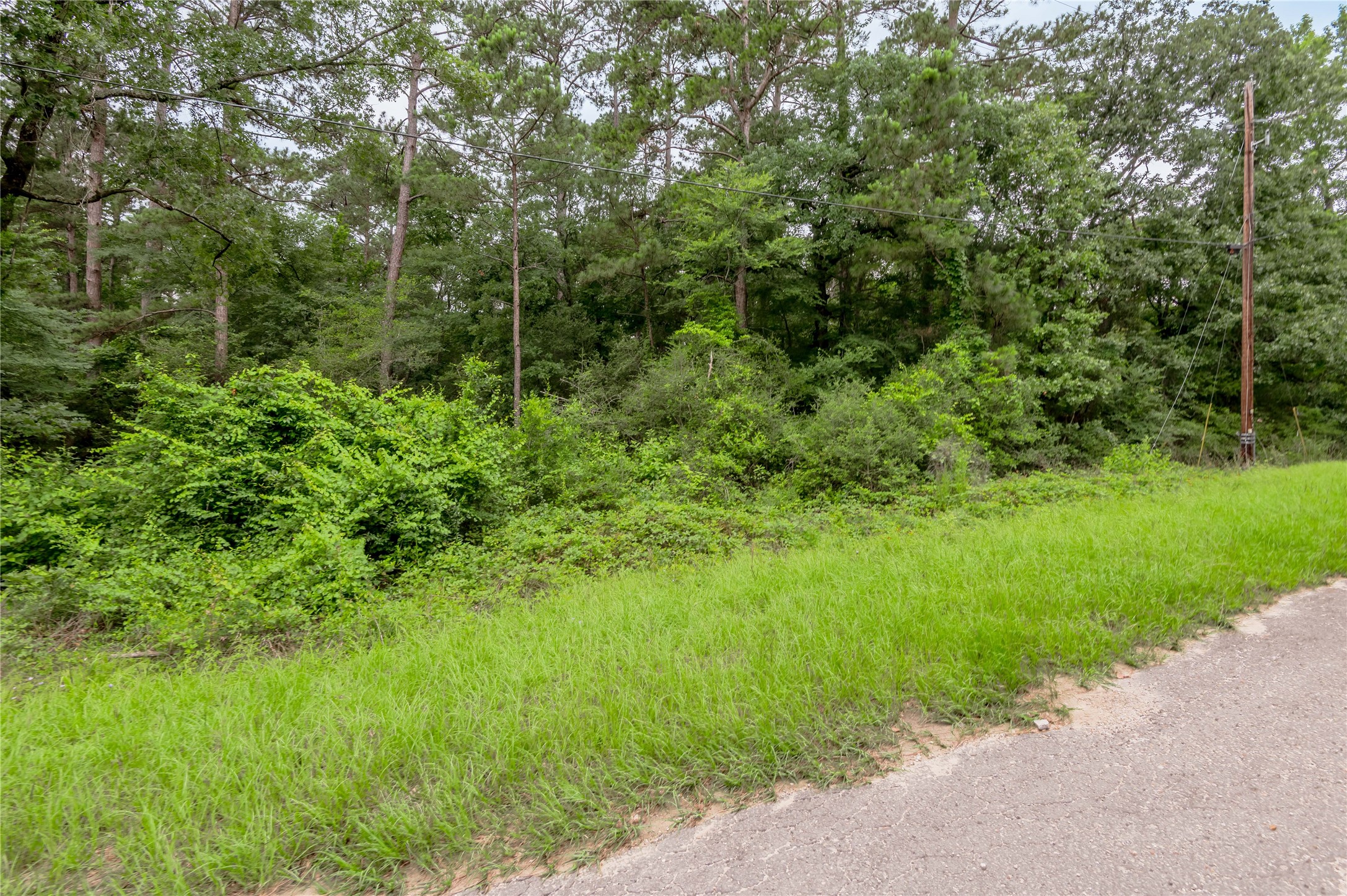 Lot 56 Post Oak Circle Trinity, TX 75862 - Photo 6 of 33