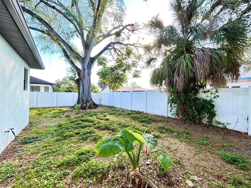 3228 West Beach Street Tampa, FL 33607 - Photo 21 of 22 a backyard of a house with lots of green space