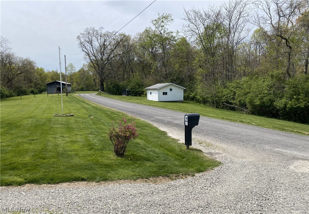 51444 Mud Run Road Sarahsville, OH 43779 - Photo 2 of 8 View of road