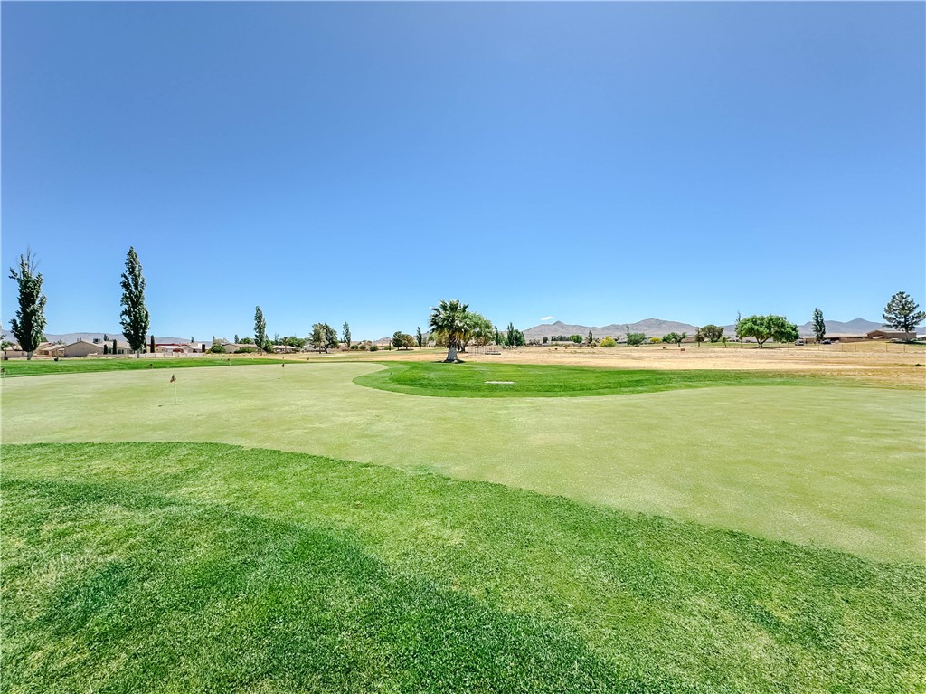 9368 Branded Road Kingman, AZ 86401 - Photo 18 of 32 a view of a large pool with lawn chairs and a big yard