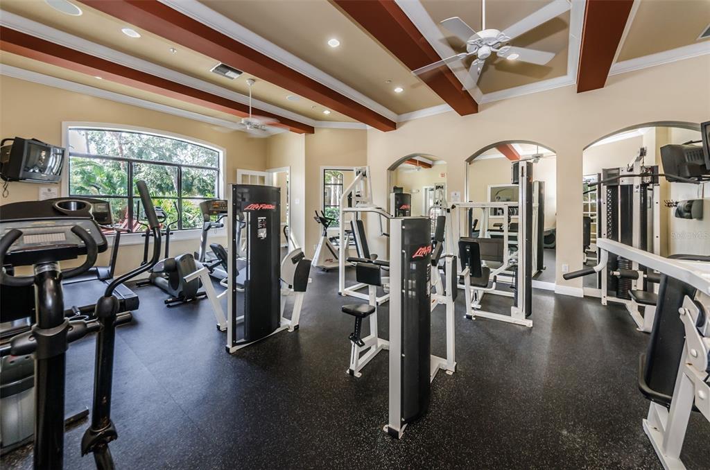 2138 Chianti Place, Unit 142 Palm Harbor, FL 34683 - Photo 26 of 40 a view of a room with gym equipment