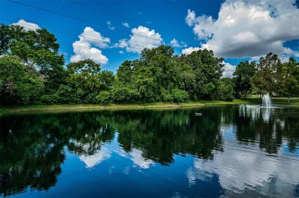 a view of a lake with a garden