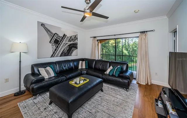 a living room with furniture and a rug