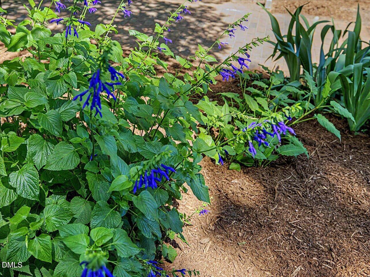 1333 Diehl Street Raleigh, NC 27608 - Photo 7 of 95
