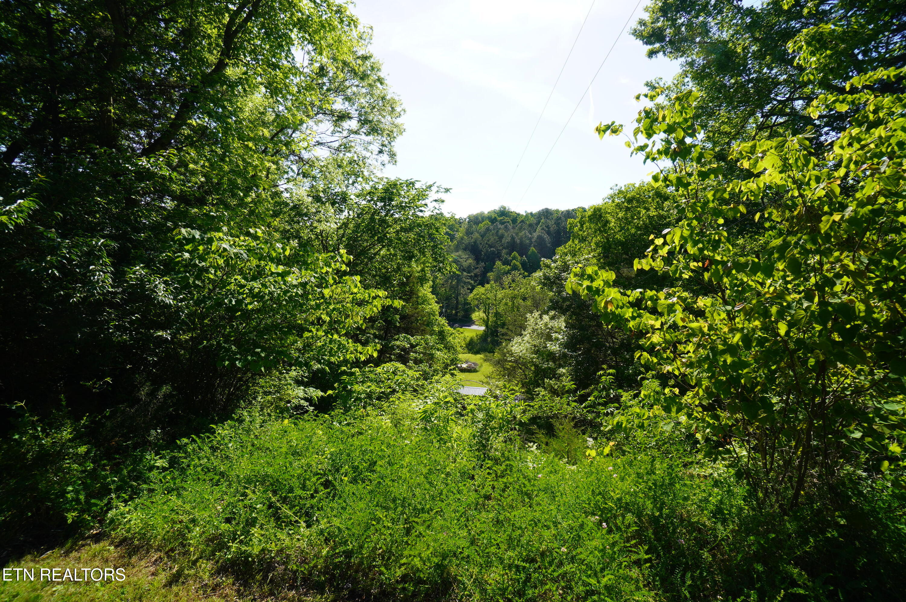 680 Hale Brook Road Newport, TN 37821 - Photo 26 of 38 updated 5-4-26 (24)