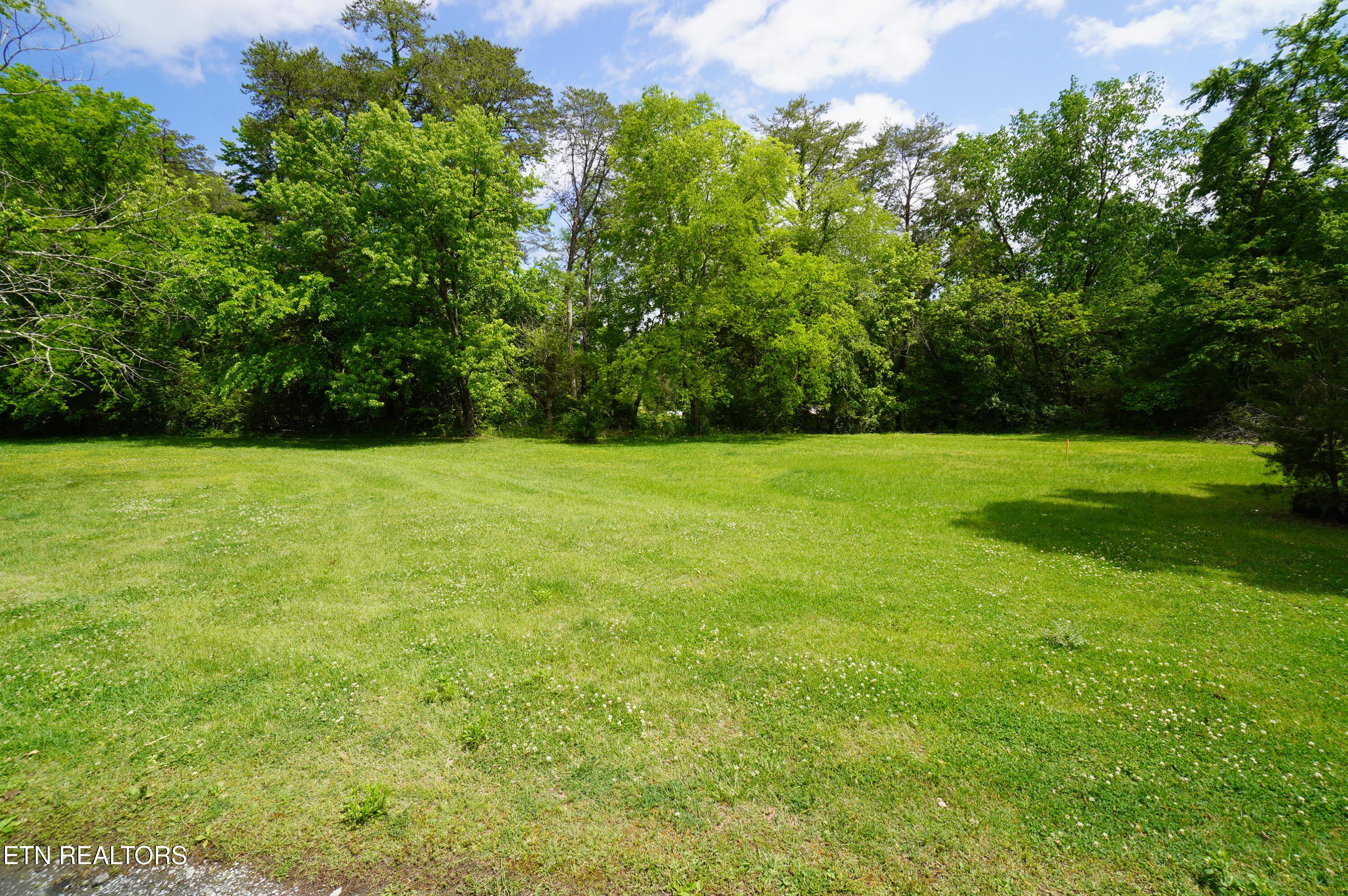 680 Hale Brook Road Newport, TN 37821 - Photo 27 of 38 hale brook - belda estate (5)