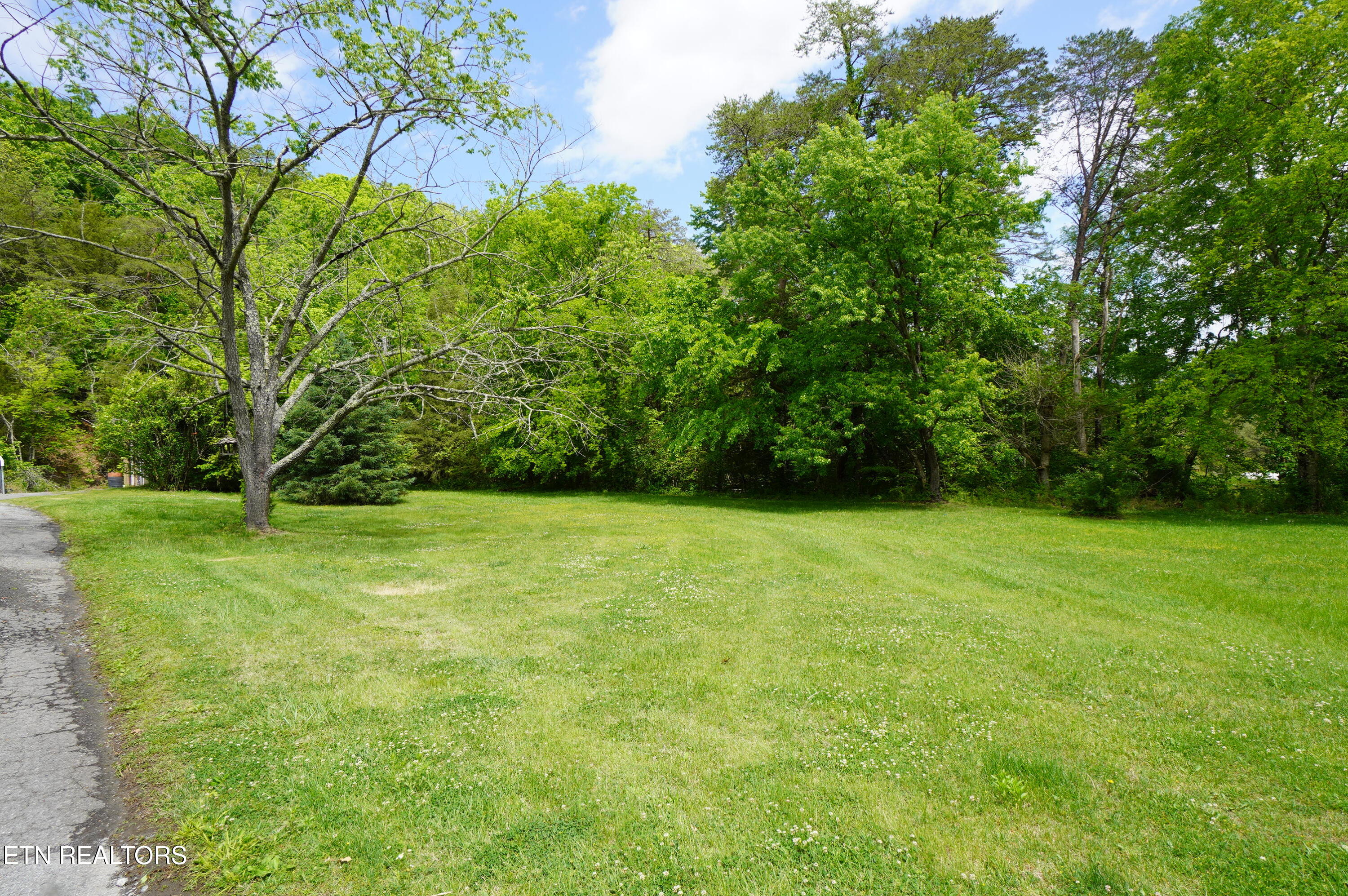 680 Hale Brook Road Newport, TN 37821 - Photo 28 of 38 hale brook - belda estate (6)