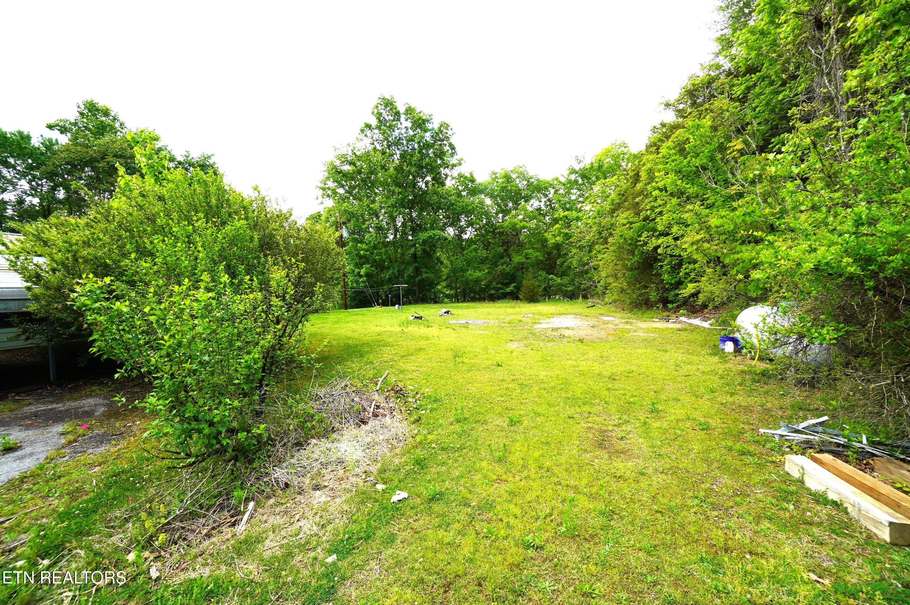 680 Hale Brook Road Newport, TN 37821 - Photo 31 of 38 hale brook - belda estate (9)