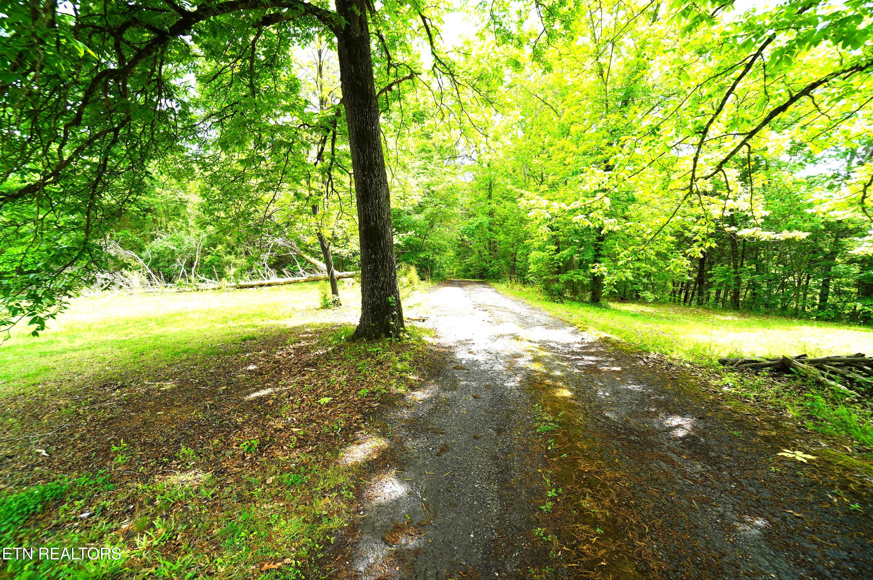 680 Hale Brook Road Newport, TN 37821 - Photo 32 of 38 hale brook - belda estate (30)