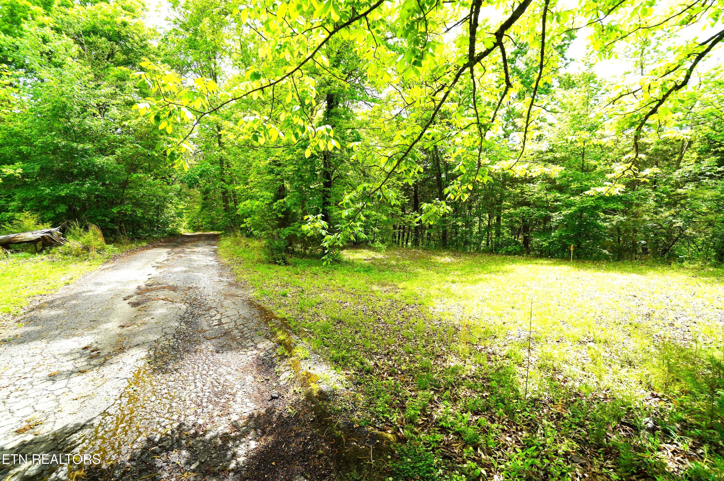 680 Hale Brook Road Newport, TN 37821 - Photo 33 of 38 hale brook - belda estate (31)