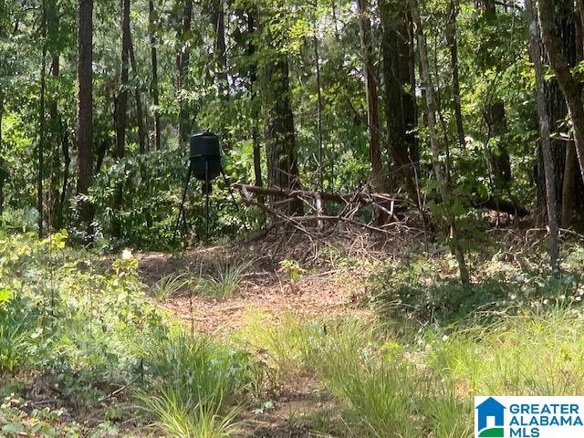 6927 Grey Hill Road West Blocton, AL 35184 - Photo 54 of 58