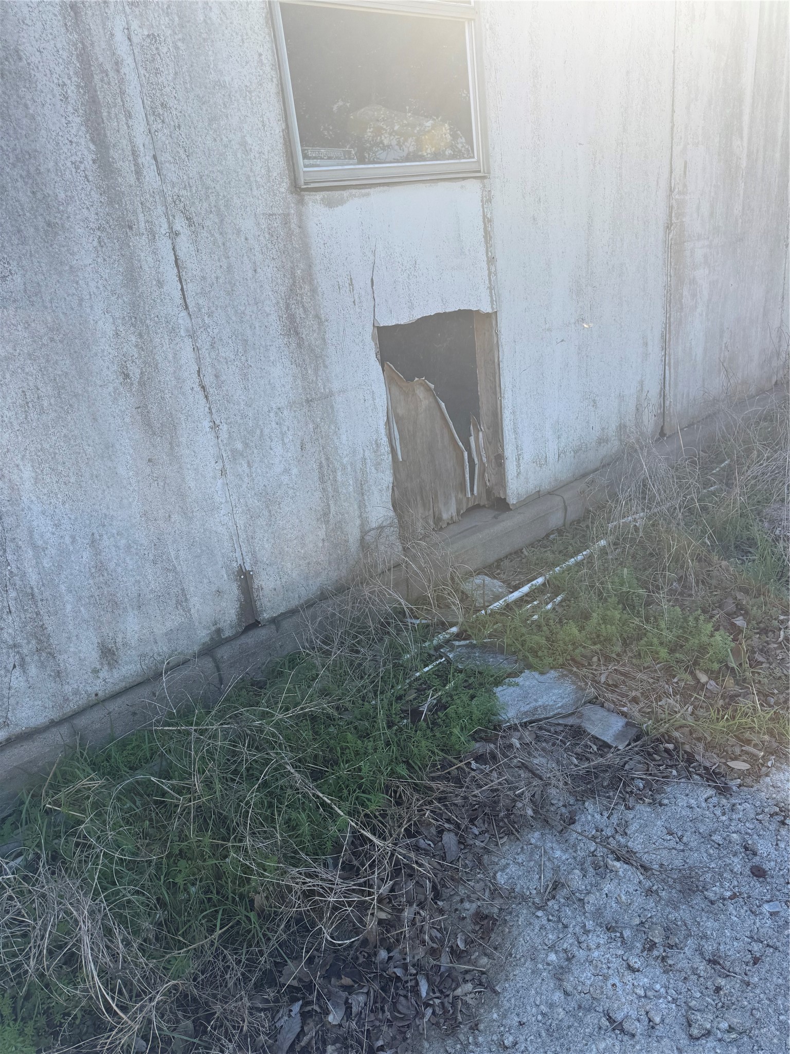 7738 North Farm To Market 331 Road Bellville, TX 77418 - Photo 35 of 41