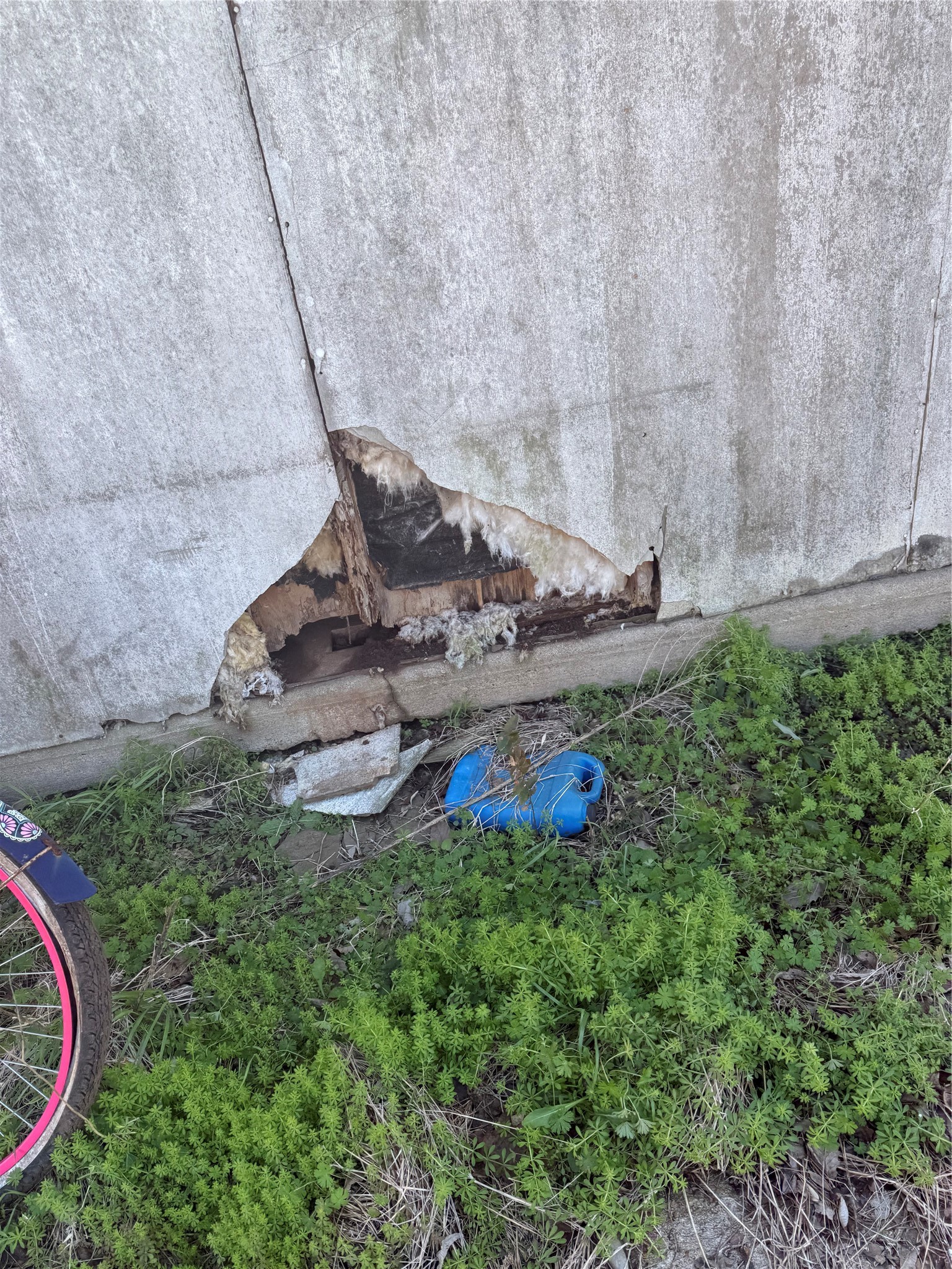 7738 North Farm To Market 331 Road Bellville, TX 77418 - Photo 36 of 41 a view of a backyard with plants and entertaining space