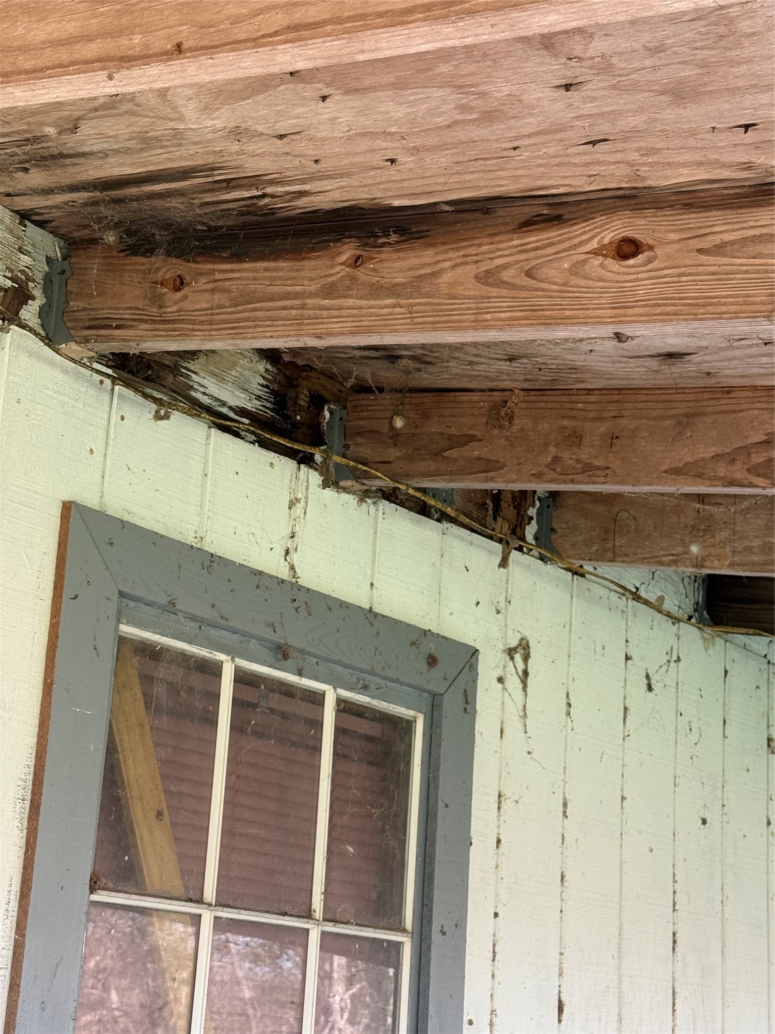 7738 North Farm To Market 331 Road Bellville, TX 77418 - Photo 39 of 41 a close view of stove