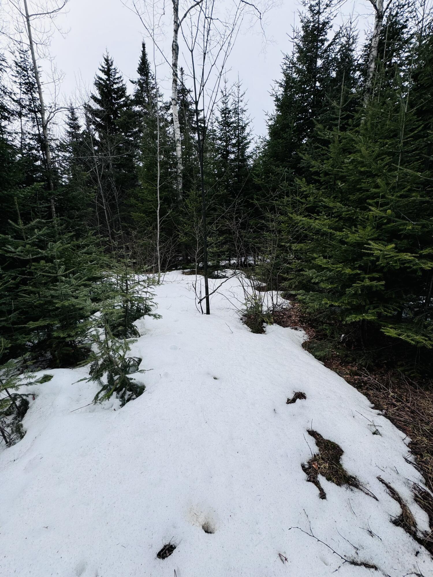 Lot 11 Errol Haley Way Rangeley, ME 04970 - Photo 11 of 17 IMG_1856