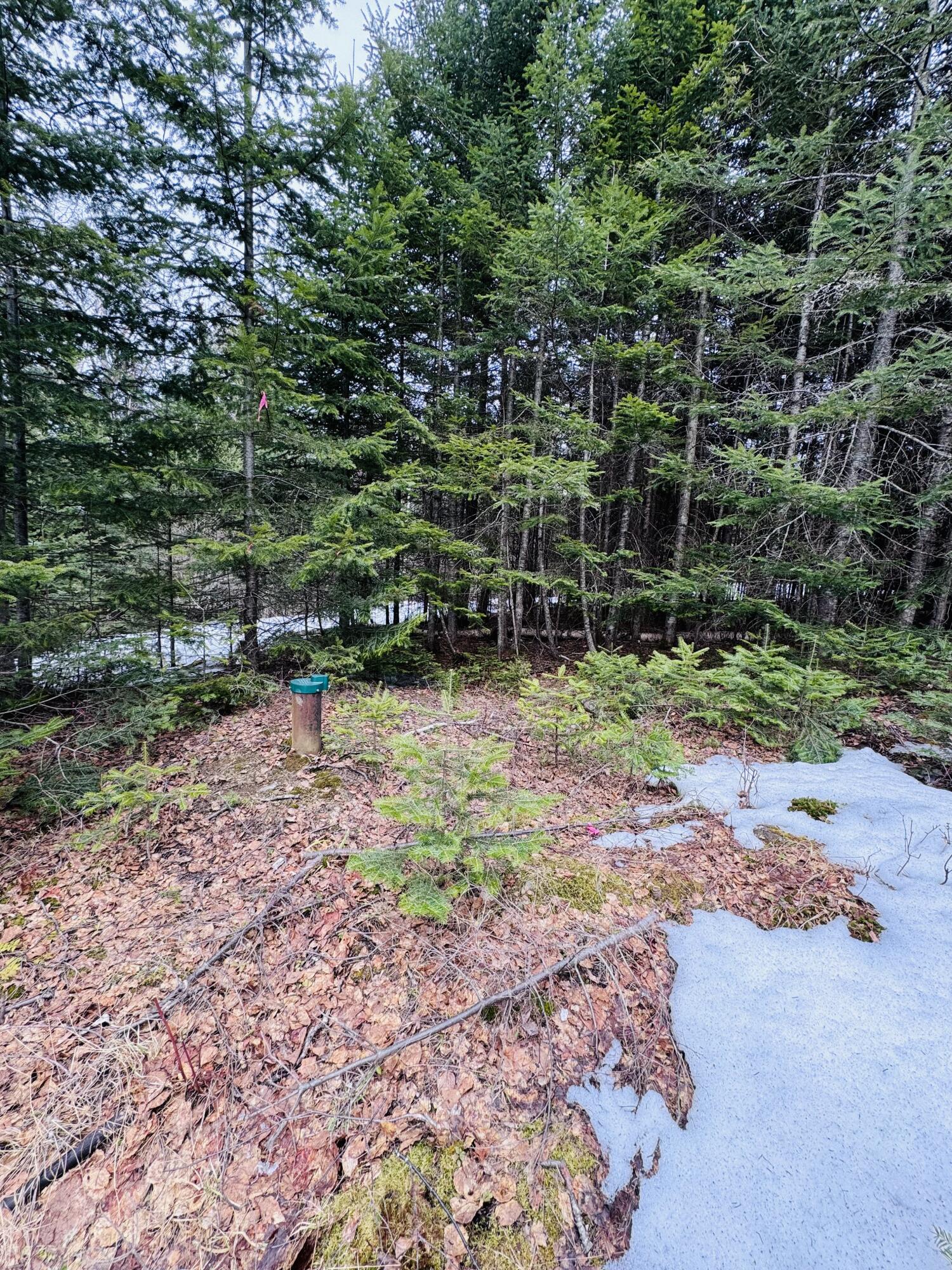 Lot 11 Errol Haley Way Rangeley, ME 04970 - Photo 12 of 17 IMG_1857