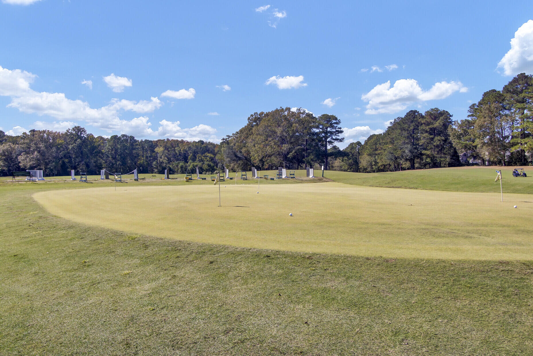 102 Old Course Road Summerville, SC 29485 - Photo 73 of 85 Gallery Image 73